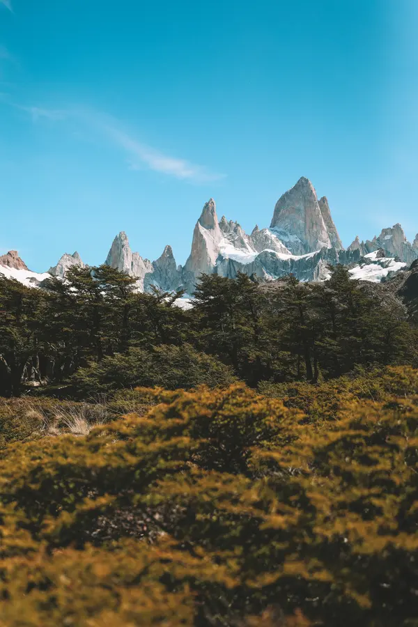 Lenga forest with Fitz Roy behind, on the way
