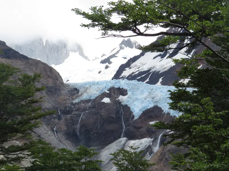 The Piedras Blancas Glacier through the lenga trees
