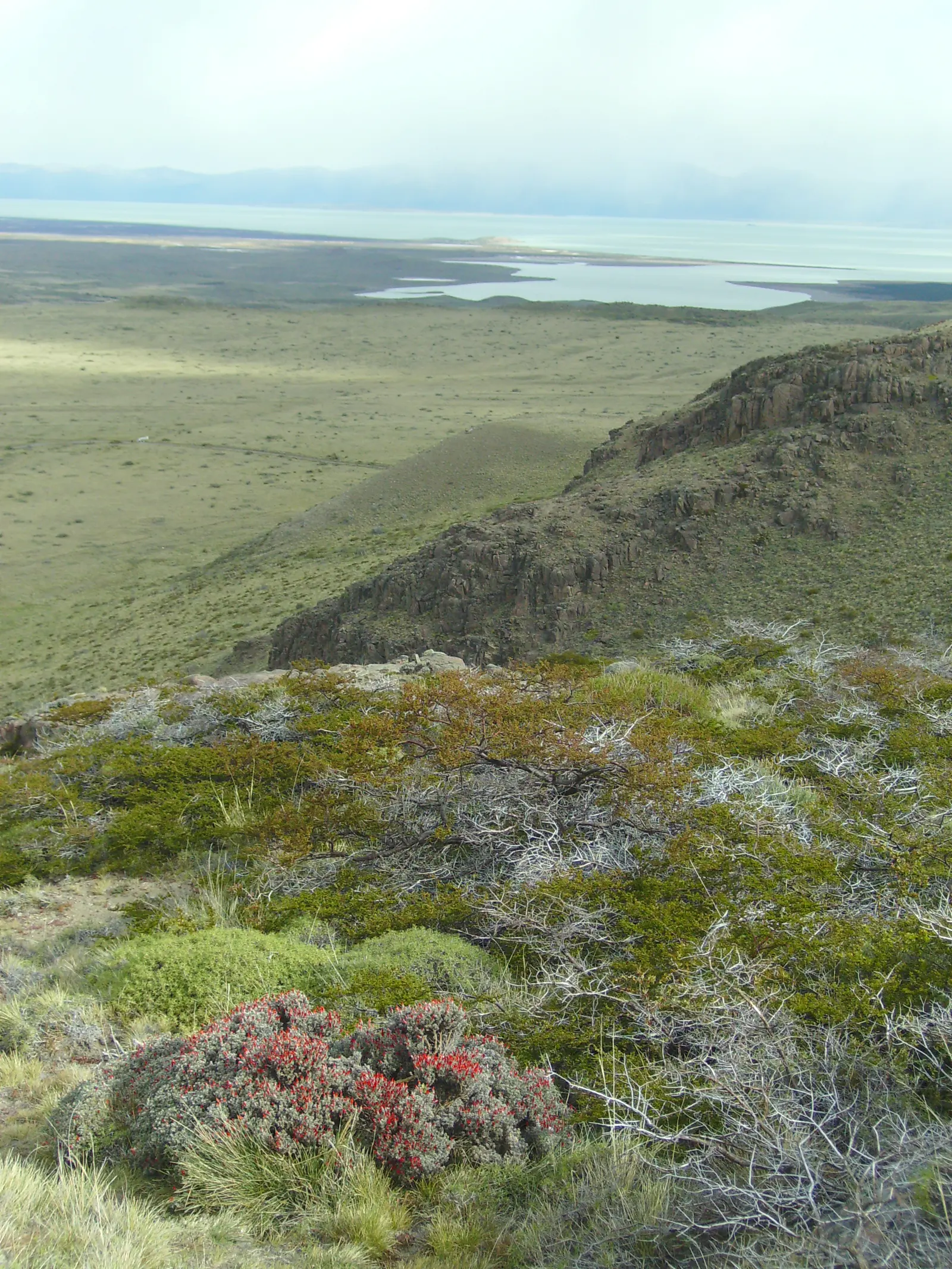 Lago Viedma and the steppe from the Las Águilas viewpoint