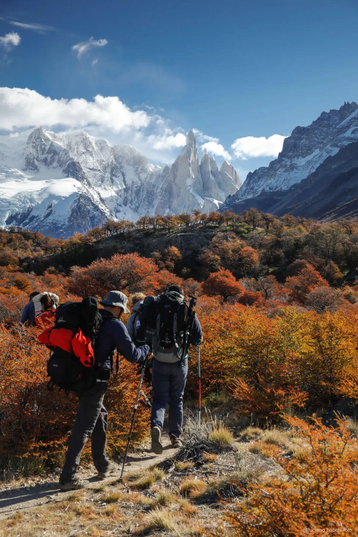 Small trekking group moving through orange lenga forest