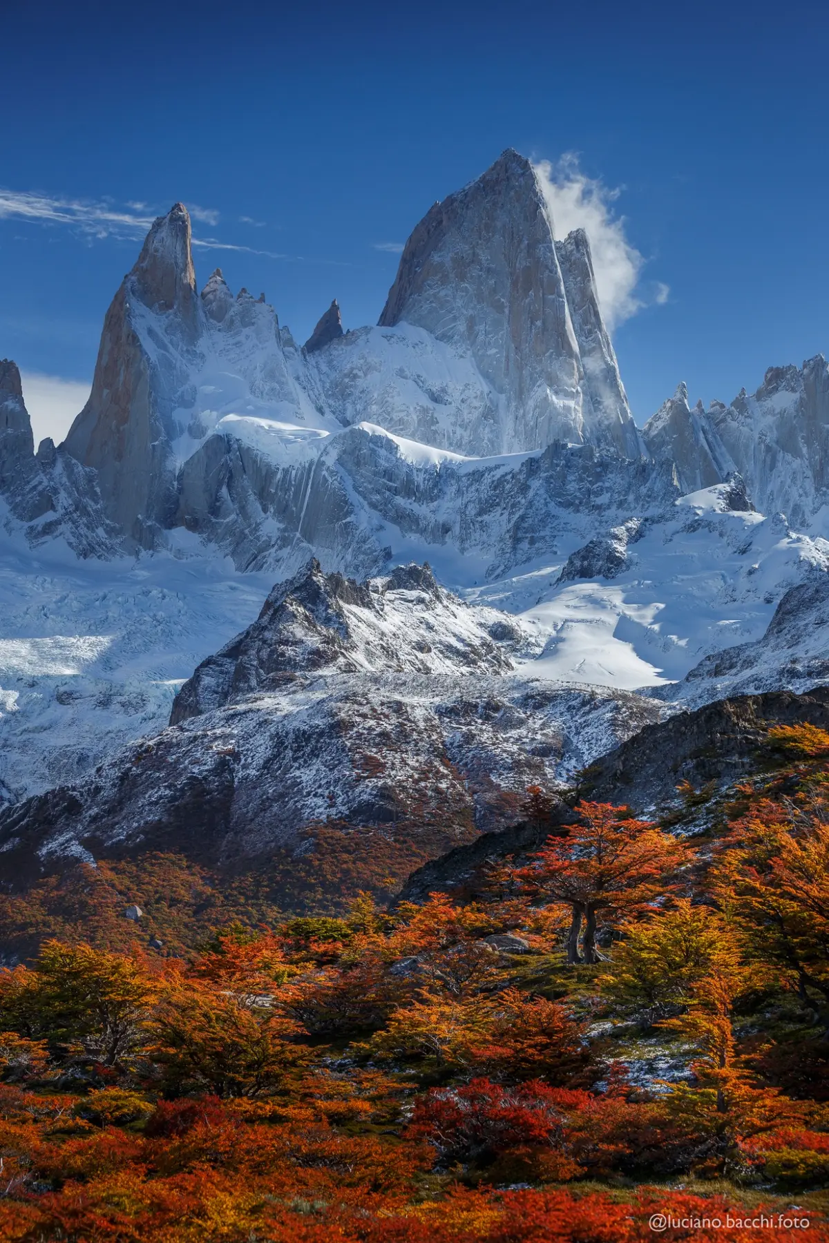 Fitz Roy above lenga forest near El Chaltén