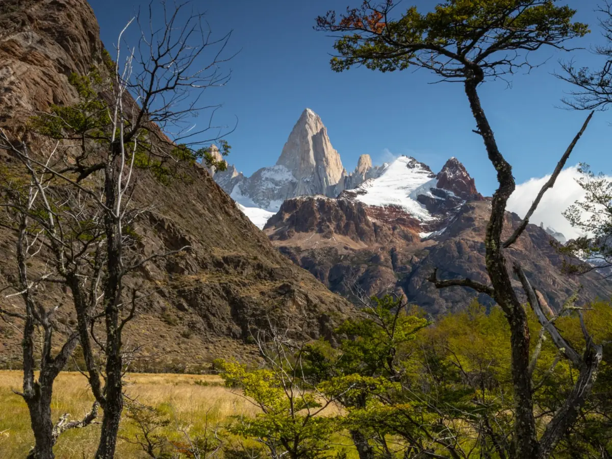 Fitz Roy rising above the Patagonian forest near El Chaltén in spring